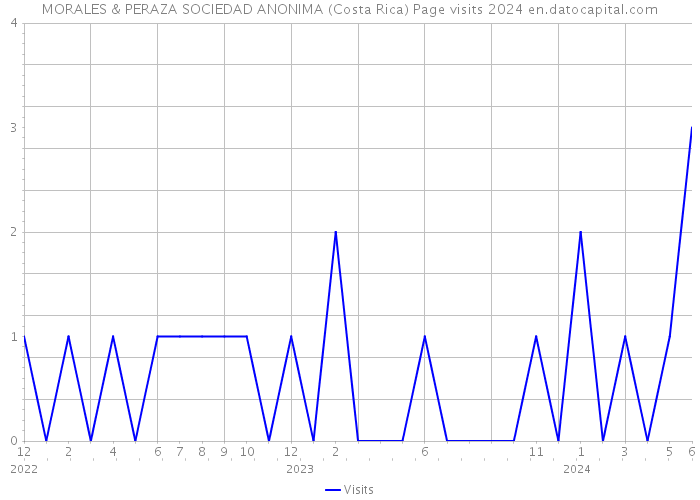 MORALES & PERAZA SOCIEDAD ANONIMA (Costa Rica) Page visits 2024 
