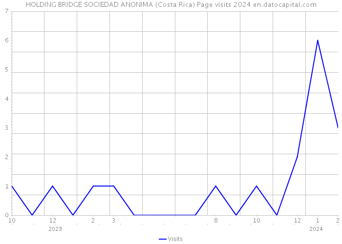 HOLDING BRIDGE SOCIEDAD ANONIMA (Costa Rica) Page visits 2024 
