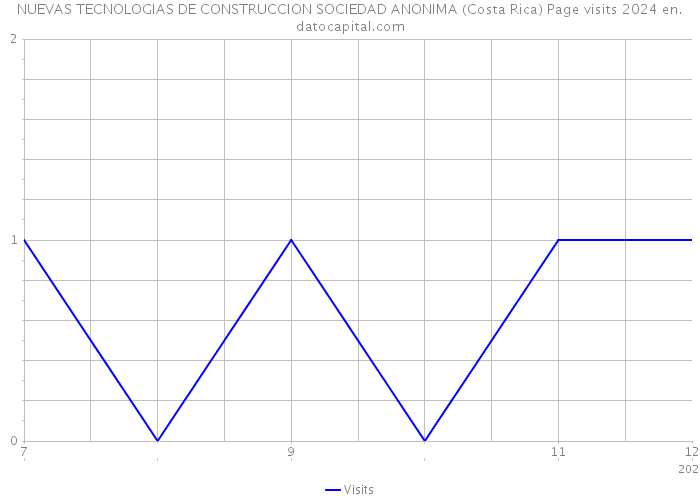 NUEVAS TECNOLOGIAS DE CONSTRUCCION SOCIEDAD ANONIMA (Costa Rica) Page visits 2024 