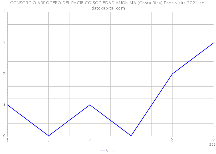 CONSORCIO ARROCERO DEL PACIFICO SOCIEDAD ANONIMA (Costa Rica) Page visits 2024 