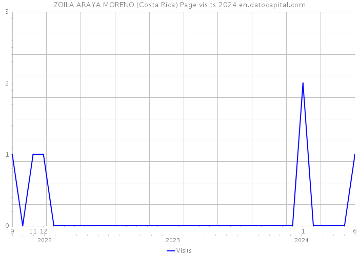 ZOILA ARAYA MORENO (Costa Rica) Page visits 2024 