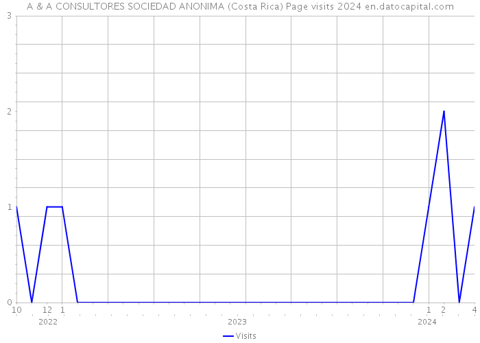 A & A CONSULTORES SOCIEDAD ANONIMA (Costa Rica) Page visits 2024 