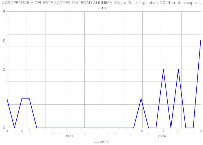 AGROPECUARIA DEL ESTE AGROES SOCIEDAD ANONIMA (Costa Rica) Page visits 2024 