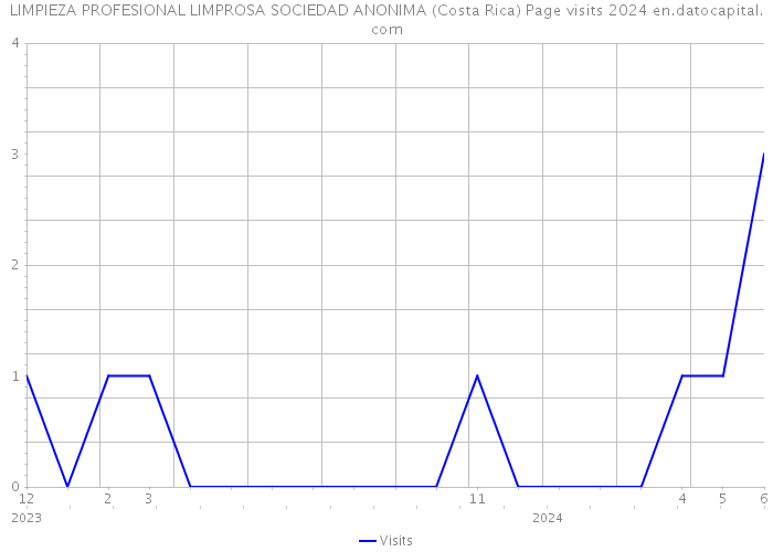 LIMPIEZA PROFESIONAL LIMPROSA SOCIEDAD ANONIMA (Costa Rica) Page visits 2024 