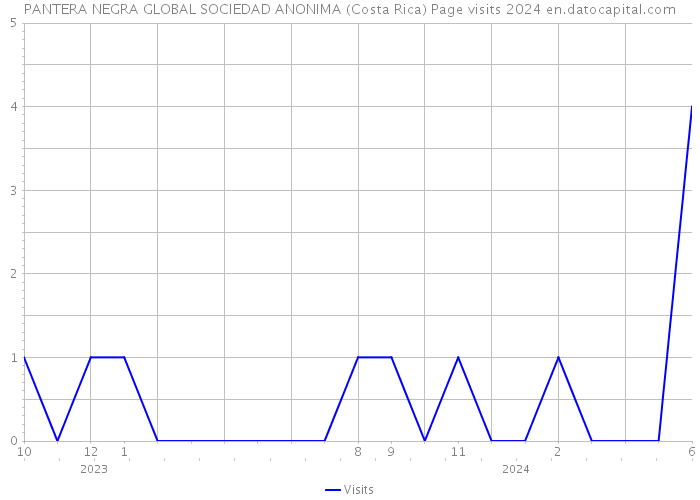 PANTERA NEGRA GLOBAL SOCIEDAD ANONIMA (Costa Rica) Page visits 2024 
