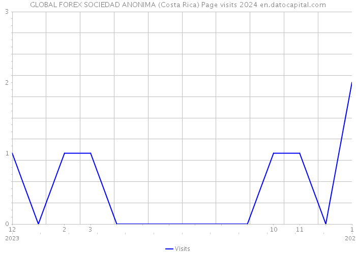 GLOBAL FOREX SOCIEDAD ANONIMA (Costa Rica) Page visits 2024 