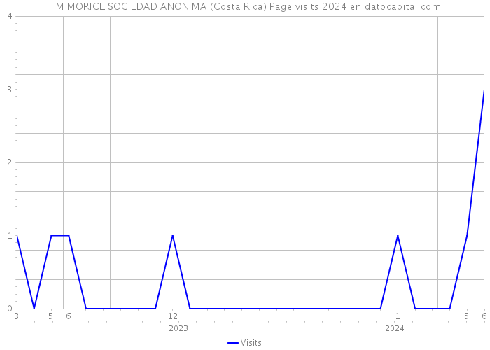 HM MORICE SOCIEDAD ANONIMA (Costa Rica) Page visits 2024 
