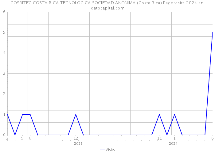 COSRITEC COSTA RICA TECNOLOGICA SOCIEDAD ANONIMA (Costa Rica) Page visits 2024 