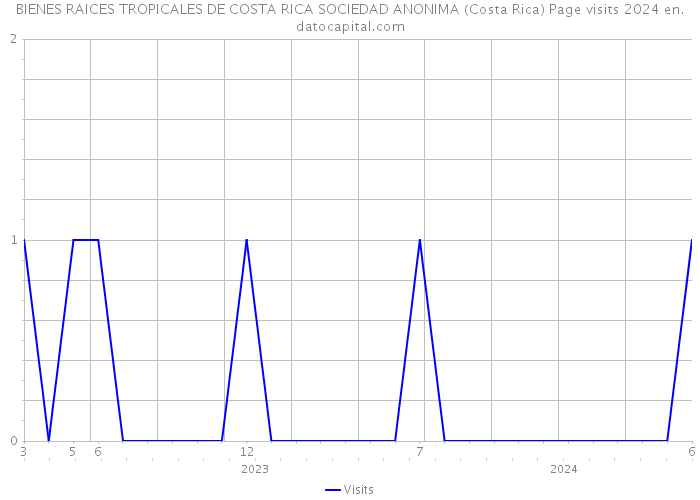 BIENES RAICES TROPICALES DE COSTA RICA SOCIEDAD ANONIMA (Costa Rica) Page visits 2024 