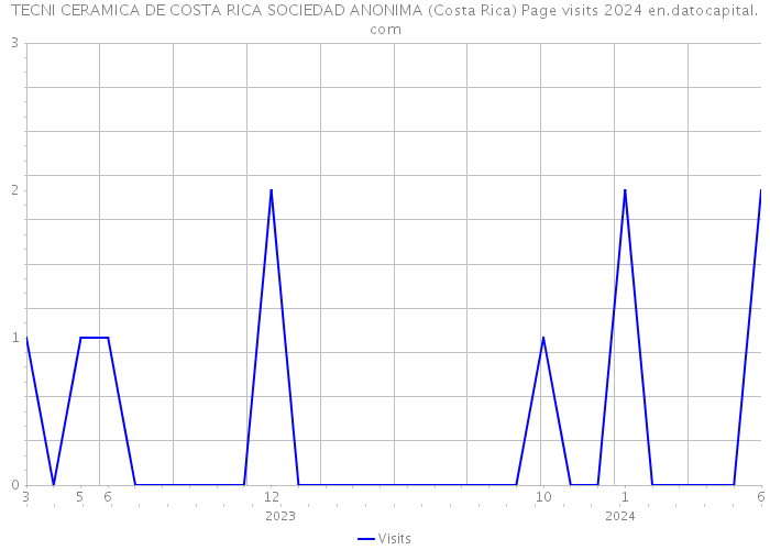 TECNI CERAMICA DE COSTA RICA SOCIEDAD ANONIMA (Costa Rica) Page visits 2024 