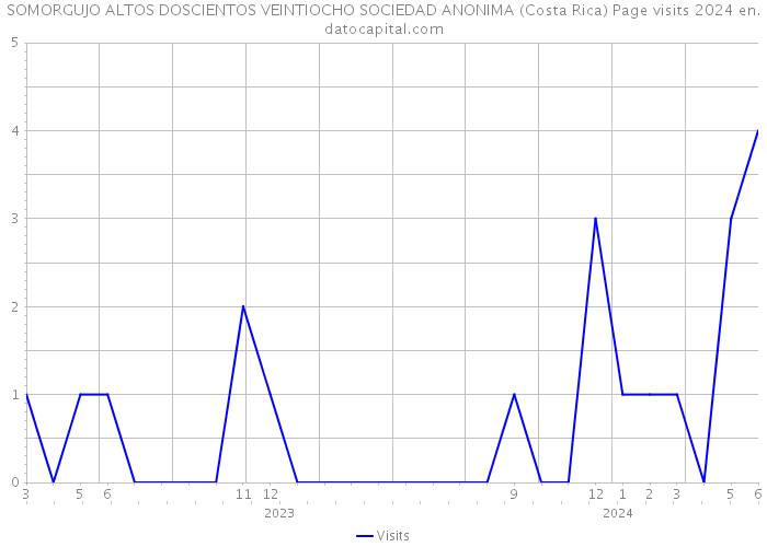 SOMORGUJO ALTOS DOSCIENTOS VEINTIOCHO SOCIEDAD ANONIMA (Costa Rica) Page visits 2024 