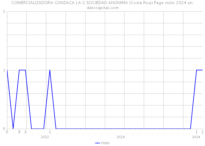 COMERCIALIZADORA GONZACA J A G SOCIEDAD ANONIMA (Costa Rica) Page visits 2024 