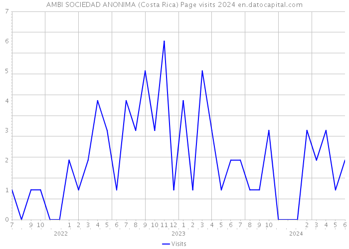 AMBI SOCIEDAD ANONIMA (Costa Rica) Page visits 2024 