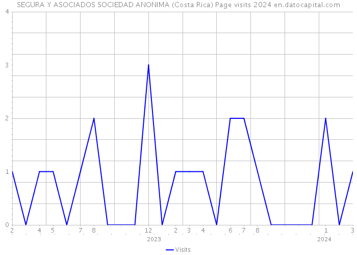 SEGURA Y ASOCIADOS SOCIEDAD ANONIMA (Costa Rica) Page visits 2024 
