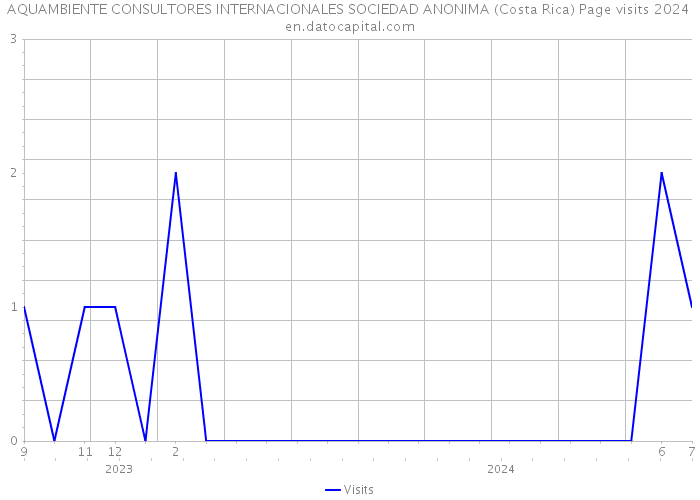 AQUAMBIENTE CONSULTORES INTERNACIONALES SOCIEDAD ANONIMA (Costa Rica) Page visits 2024 