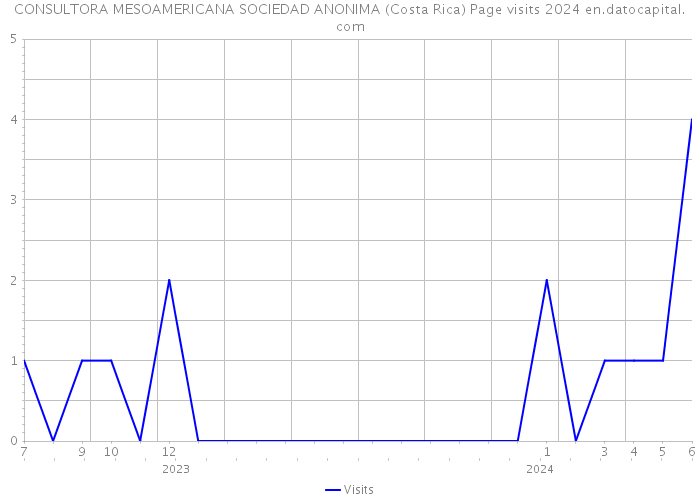 CONSULTORA MESOAMERICANA SOCIEDAD ANONIMA (Costa Rica) Page visits 2024 