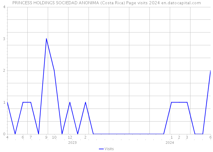 PRINCESS HOLDINGS SOCIEDAD ANONIMA (Costa Rica) Page visits 2024 
