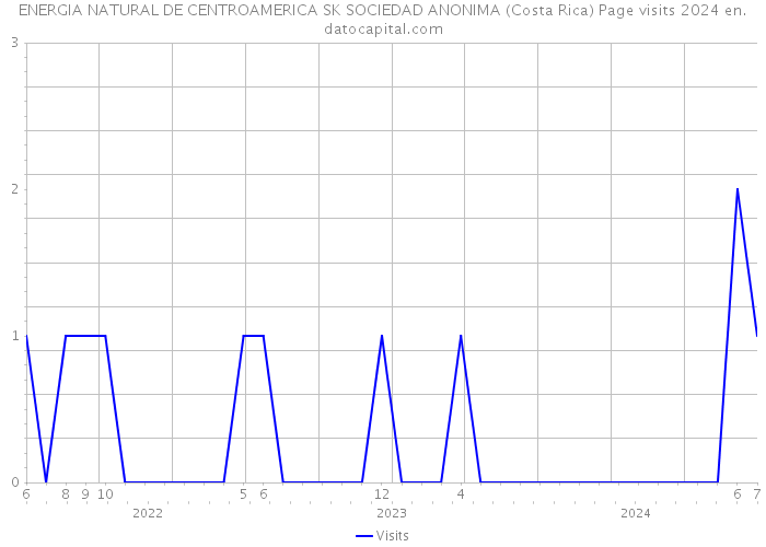 ENERGIA NATURAL DE CENTROAMERICA SK SOCIEDAD ANONIMA (Costa Rica) Page visits 2024 