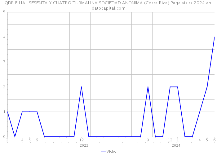 QDR FILIAL SESENTA Y CUATRO TURMALINA SOCIEDAD ANONIMA (Costa Rica) Page visits 2024 