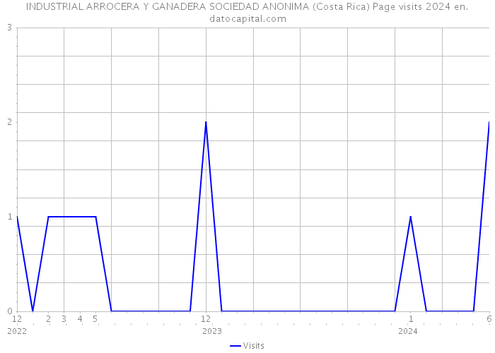 INDUSTRIAL ARROCERA Y GANADERA SOCIEDAD ANONIMA (Costa Rica) Page visits 2024 