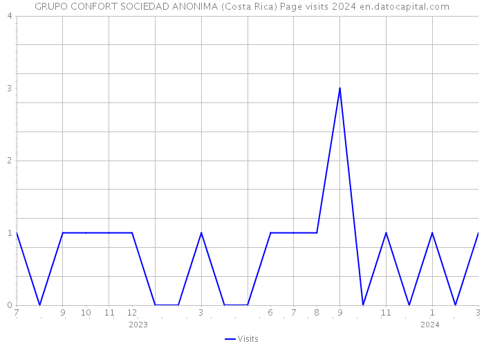 GRUPO CONFORT SOCIEDAD ANONIMA (Costa Rica) Page visits 2024 