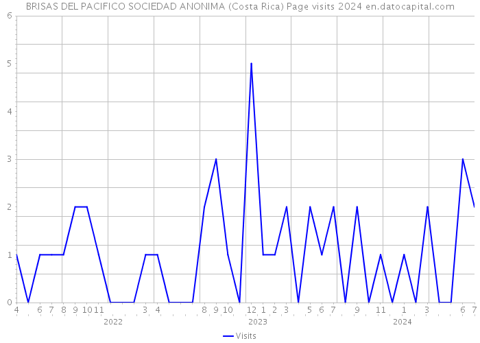 BRISAS DEL PACIFICO SOCIEDAD ANONIMA (Costa Rica) Page visits 2024 