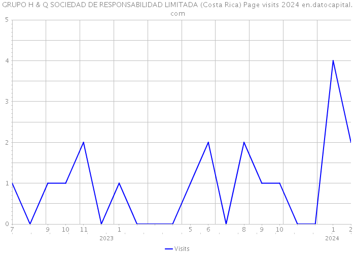 GRUPO H & Q SOCIEDAD DE RESPONSABILIDAD LIMITADA (Costa Rica) Page visits 2024 