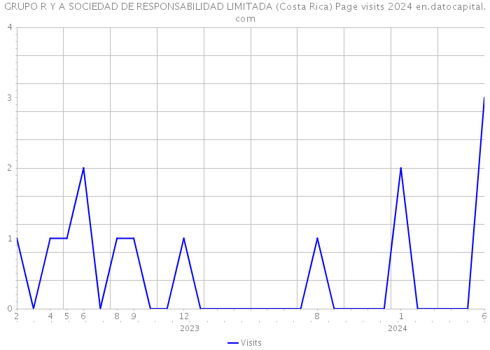 GRUPO R Y A SOCIEDAD DE RESPONSABILIDAD LIMITADA (Costa Rica) Page visits 2024 