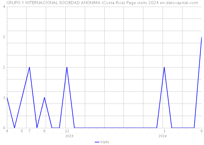 GRUPO Y INTERNACIONAL SOCIEDAD ANONIMA (Costa Rica) Page visits 2024 