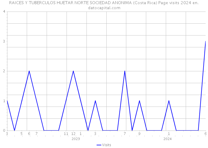 RAICES Y TUBERCULOS HUETAR NORTE SOCIEDAD ANONIMA (Costa Rica) Page visits 2024 
