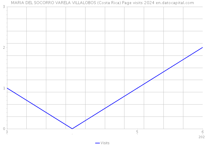 MARIA DEL SOCORRO VARELA VILLALOBOS (Costa Rica) Page visits 2024 