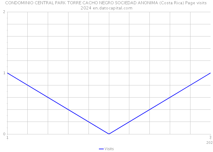 CONDOMINIO CENTRAL PARK TORRE CACHO NEGRO SOCIEDAD ANONIMA (Costa Rica) Page visits 2024 