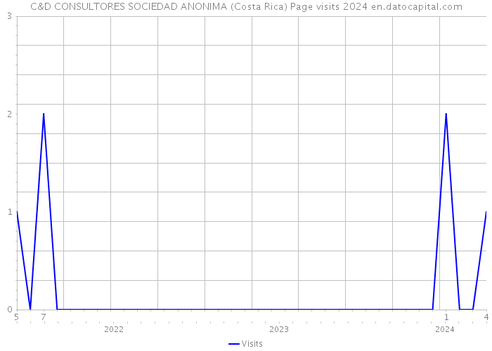 C&D CONSULTORES SOCIEDAD ANONIMA (Costa Rica) Page visits 2024 