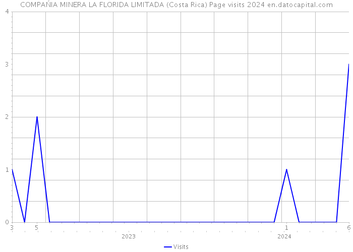 COMPAŃIA MINERA LA FLORIDA LIMITADA (Costa Rica) Page visits 2024 