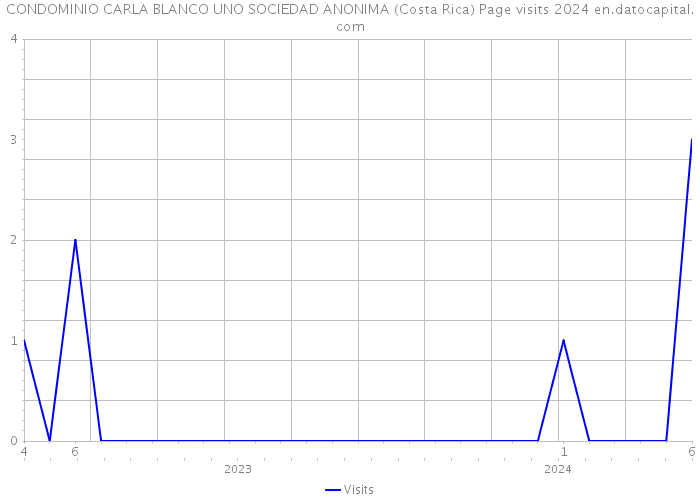 CONDOMINIO CARLA BLANCO UNO SOCIEDAD ANONIMA (Costa Rica) Page visits 2024 