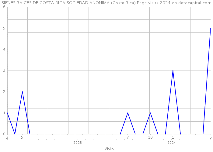 BIENES RAICES DE COSTA RICA SOCIEDAD ANONIMA (Costa Rica) Page visits 2024 