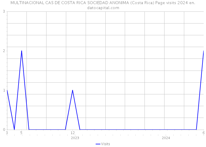 MULTINACIONAL CAS DE COSTA RICA SOCIEDAD ANONIMA (Costa Rica) Page visits 2024 