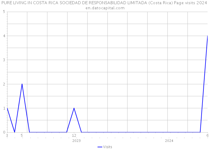 PURE LIVING IN COSTA RICA SOCIEDAD DE RESPONSABILIDAD LIMITADA (Costa Rica) Page visits 2024 