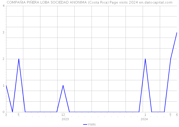 COMPAŃIA PIŃERA LOBA SOCIEDAD ANONIMA (Costa Rica) Page visits 2024 