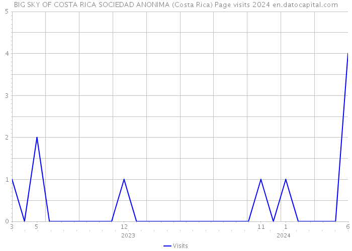 BIG SKY OF COSTA RICA SOCIEDAD ANONIMA (Costa Rica) Page visits 2024 