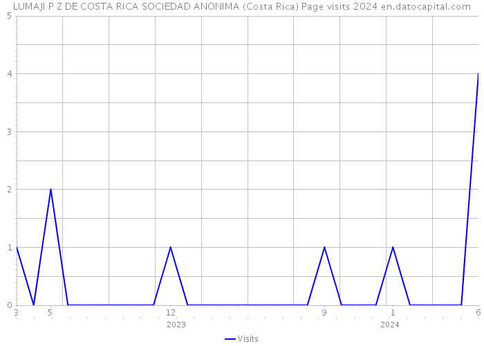 LUMAJI P Z DE COSTA RICA SOCIEDAD ANONIMA (Costa Rica) Page visits 2024 