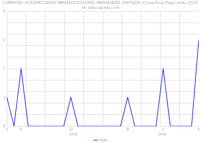 COMPAŃIA AGROPECUARIA HERMANOS FLORES HERNANDEZ LIMITADA (Costa Rica) Page visits 2024 