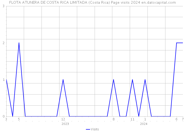 FLOTA ATUNERA DE COSTA RICA LIMITADA (Costa Rica) Page visits 2024 