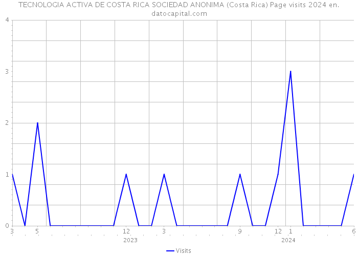 TECNOLOGIA ACTIVA DE COSTA RICA SOCIEDAD ANONIMA (Costa Rica) Page visits 2024 