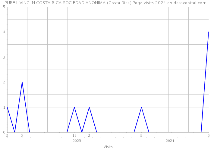 PURE LIVING IN COSTA RICA SOCIEDAD ANONIMA (Costa Rica) Page visits 2024 
