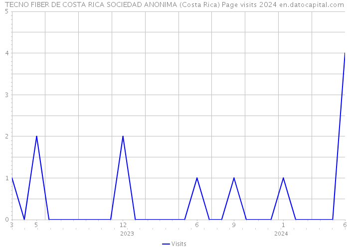 TECNO FIBER DE COSTA RICA SOCIEDAD ANONIMA (Costa Rica) Page visits 2024 