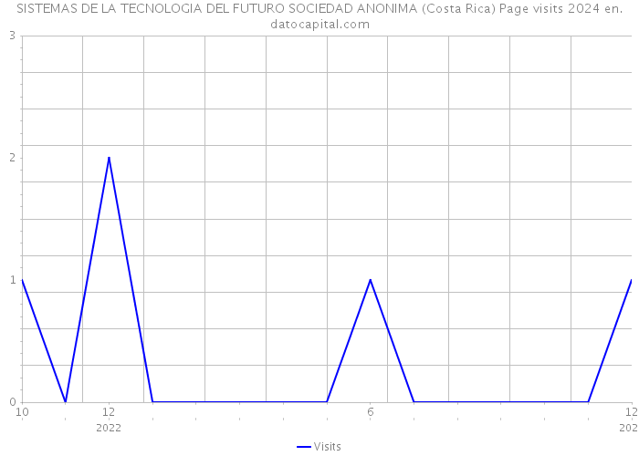 SISTEMAS DE LA TECNOLOGIA DEL FUTURO SOCIEDAD ANONIMA (Costa Rica) Page visits 2024 