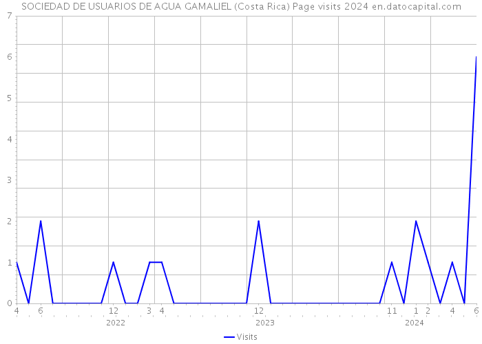 SOCIEDAD DE USUARIOS DE AGUA GAMALIEL (Costa Rica) Page visits 2024 