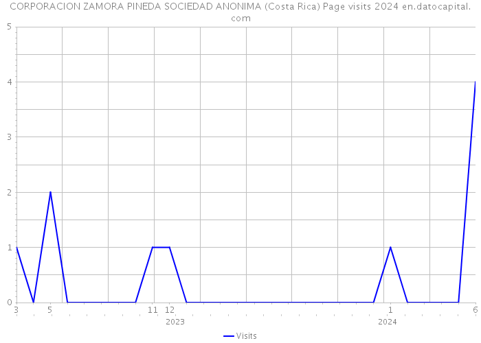 CORPORACION ZAMORA PINEDA SOCIEDAD ANONIMA (Costa Rica) Page visits 2024 