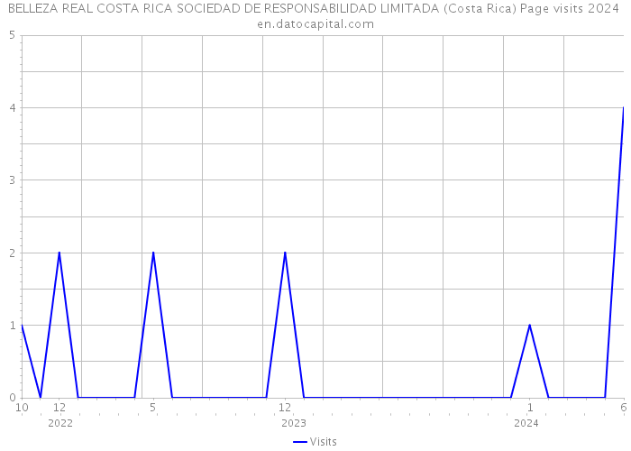 BELLEZA REAL COSTA RICA SOCIEDAD DE RESPONSABILIDAD LIMITADA (Costa Rica) Page visits 2024 